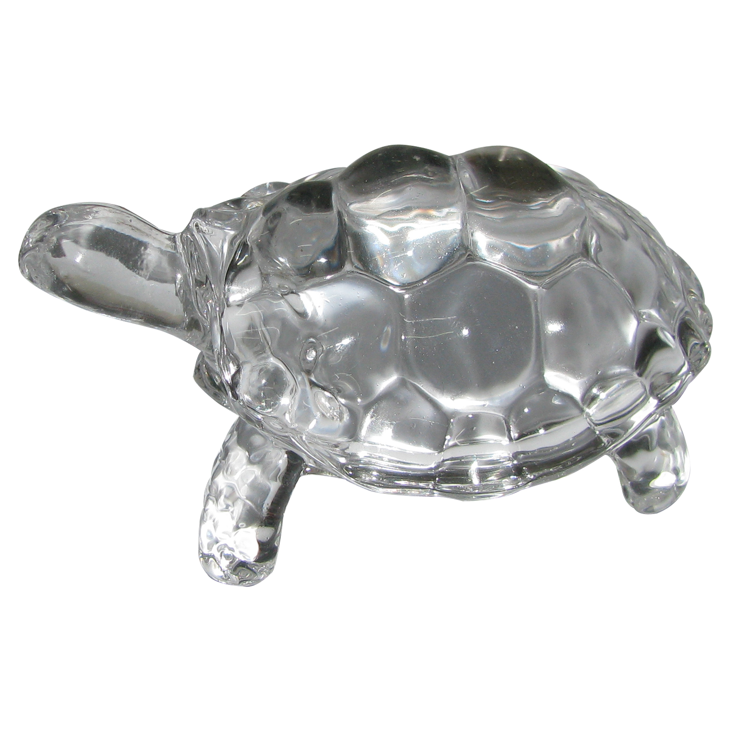A1767-01-Crystal-Tortoise.jpg