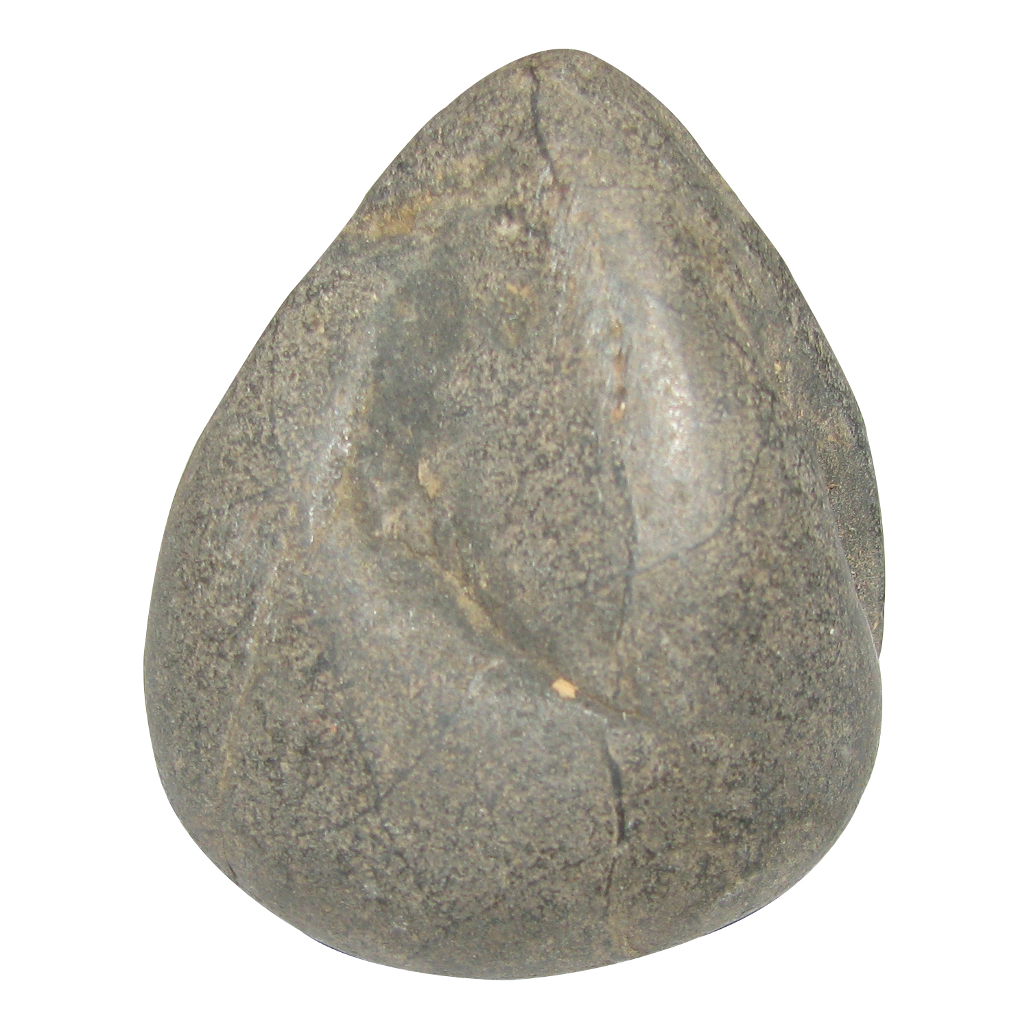 A5026-Ganesh-Ganapathi-Vinayagar-Shaligram.jpg