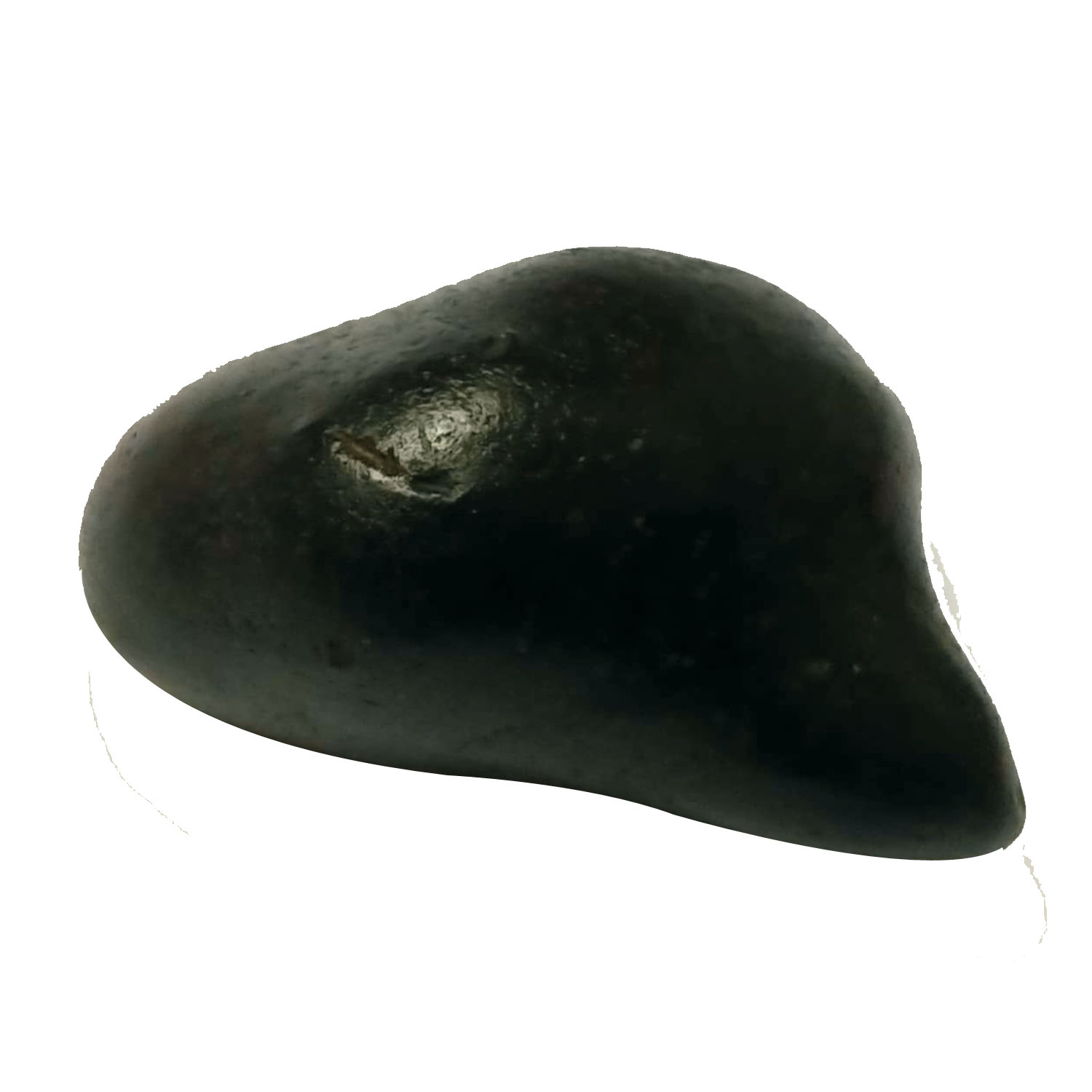 Aadhyathmik-Mathsya-Shaligram-Shila-from-Nepal-Gandhaki-Nadhi-100-Original-Natural-Sacred-Salagram-Shalagram-1.5inch-32grams-S9067-77.jpeg