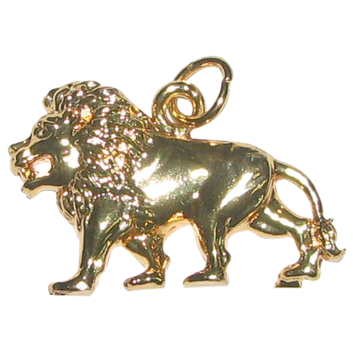 Ashtadathu-Ashtalogam-Ashtaloha-Durga-Vahan-Simha-Tiny-Pendant-15-mm-Matt-Finish-S961418.jpg