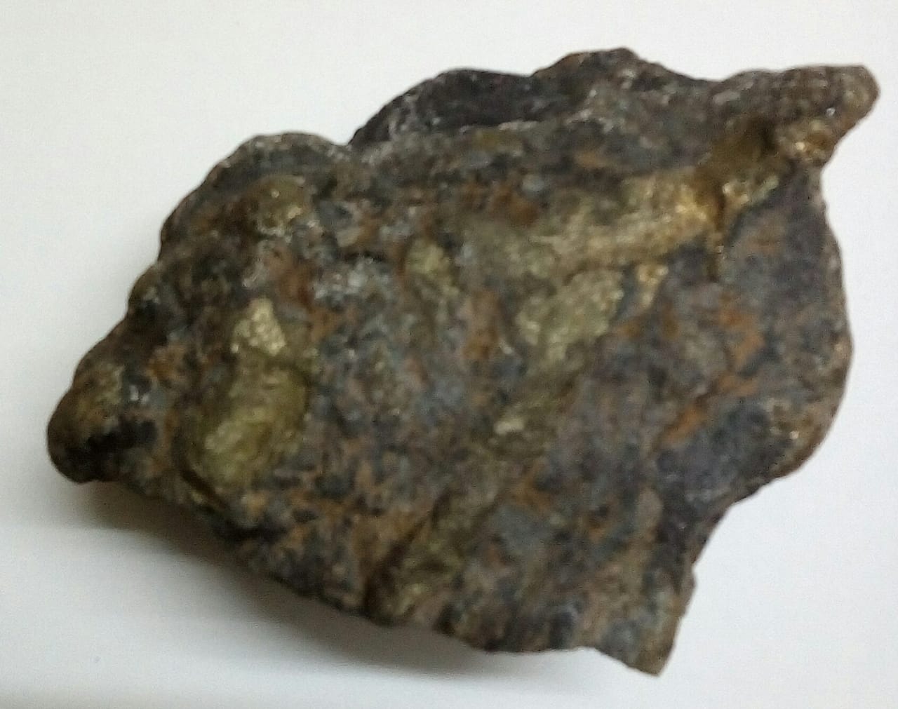 S9040-Swarnamukhi-Shila-Devi-Shila-Collected-from-Swarnamukhi-River.jpeg