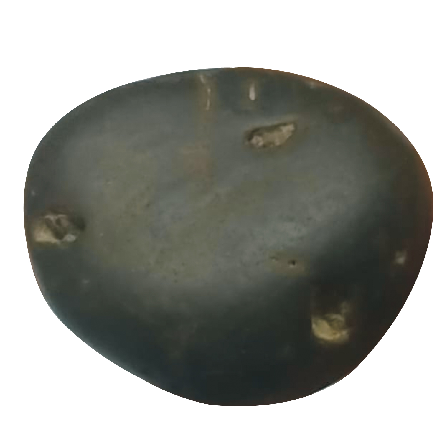 S9067-100-Aadhyathmik-100-Original-Natural-Sacred-Adhi-Parasakthi-Shaligram-from-Nepal-Gandhaki-Nadhi-Adhi-Sakthi-Salagram-1.5inch-40grams-1.jpg