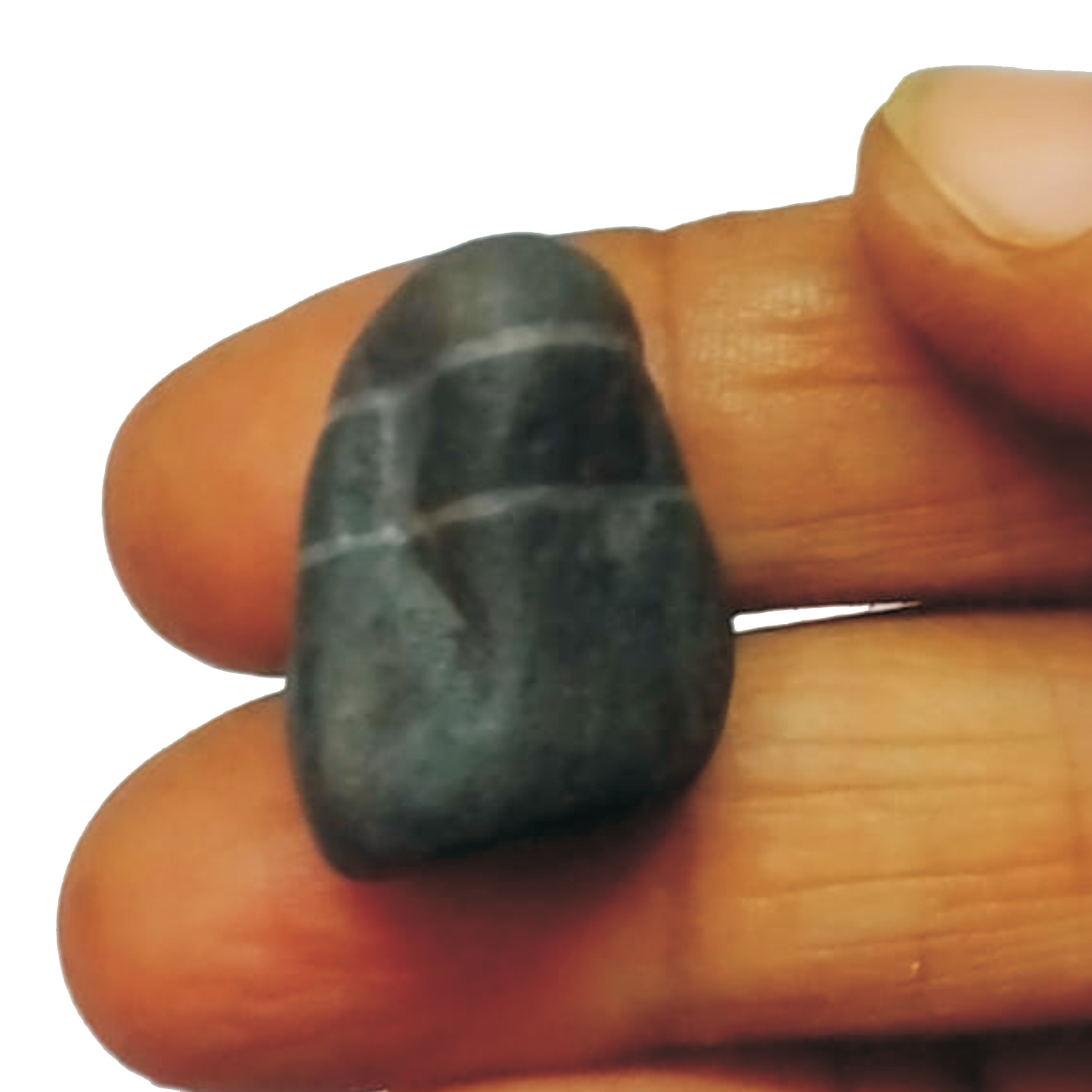S9067-105-Aadhyathmik-100-Original-Natural-Sacred-Subrahmanya-Ganesh-Shaligram-with-two-Vanamalas-going-all-around-the-Salagram-from-Nepal-Gandhaki-Nadhi-1inch-10grams.jpg