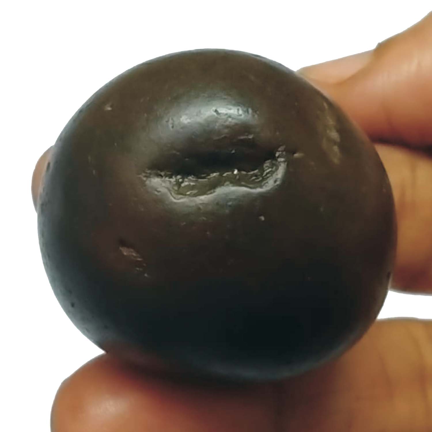 S9067-26-02-Aadhyathmik-Natural-Sacred-Narasimha-Shaligram-Shila-from-Nepal-Gandhaki-Nadhi-1½-Inch-Salagram-Shalagram-84grams1.jpg