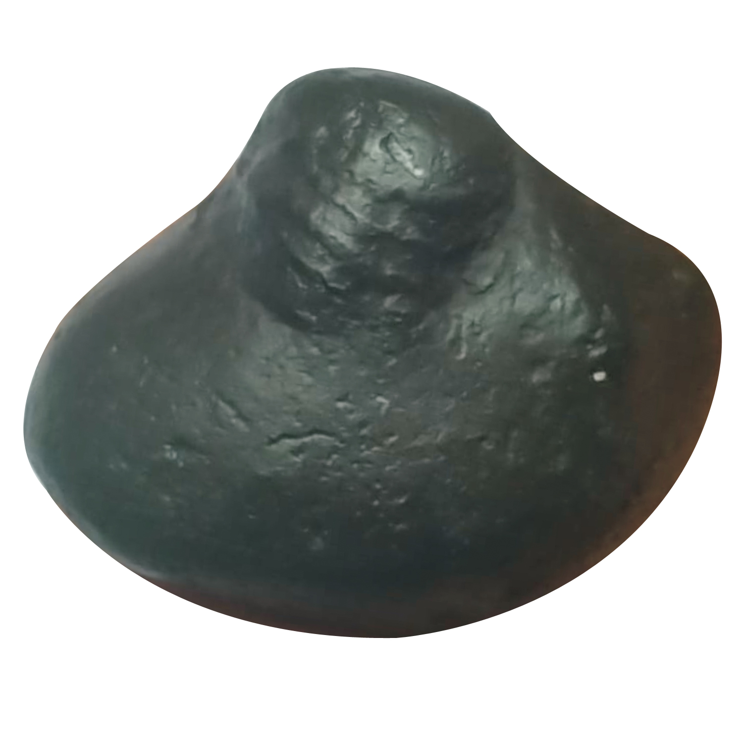 S9067-41-02-Aadhyathmik-100-Original-Natural-Sacred-Kailash-Manasarovar-Shaligram-Shila-from-Nepal-Gandhaki-Nadhi-Salagram-Shalagram-2inch-72grams.jpg