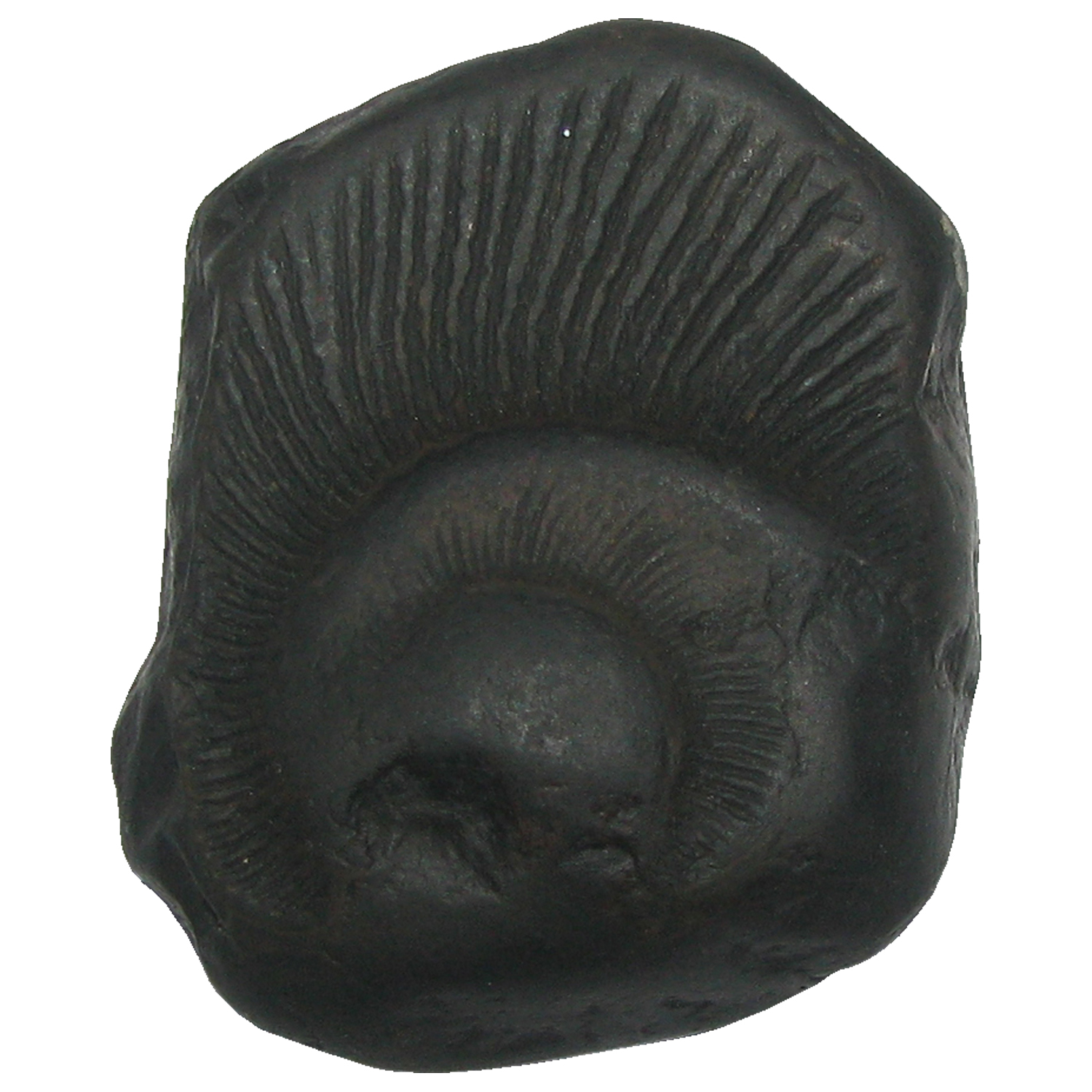 S9067-55-02-Aadhyathmik-Lalitha-Devi-Shaligram-Shila-from-Nepal-Gandhaki-Nadhi-Salagram-Shalagram-2inch-71grams.jpg