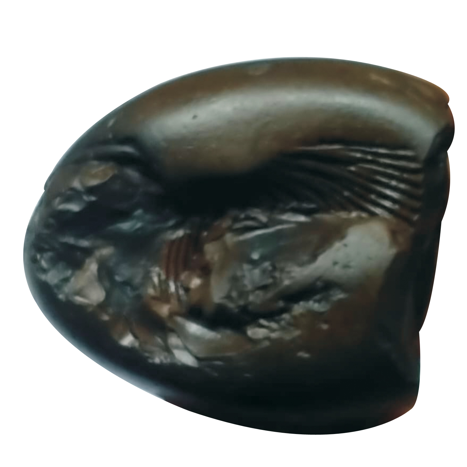 S9067-82-Aadhyathmik-Prathyangira-Shaligram-Shila-from-Nepal-Gandhaki-Nadhi-100-Original-Natural-Sacred-Salagram-Shalagram-2inch-192grams.jpeg